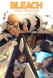 Bleach: Sennen Kessen-hen – Kashin-tan